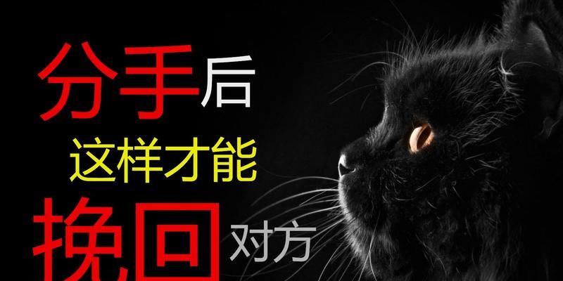 分手后情感挽回必备技巧（让爱情回到你身边的15个步骤）