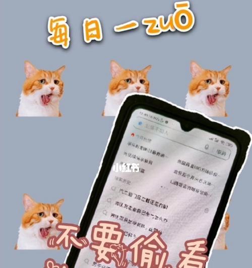 揭秘为什么女孩总想偷看男友手机（男友手机隐藏着的秘密，女孩们为何如此好奇？）