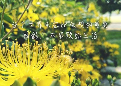 为什么男人会厌弃你？（探究厌弃的原因和预防方法，）