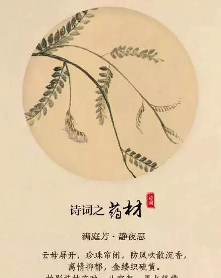 爱情诗歌中的美（探寻四首最美的爱情诗歌，品味诗人对爱情的感悟）