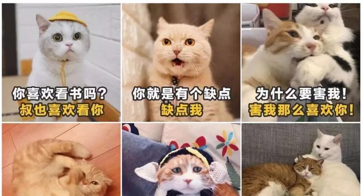 土味情话竟让我心动不已！（感受到爱情的力量，细数那些让你心动的话语）