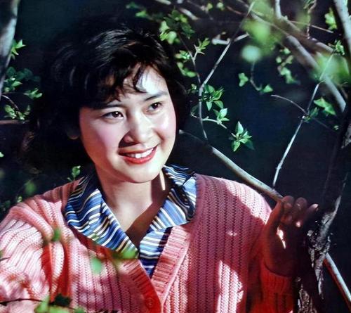 挽回婚姻的艰难路——贤妻良母为何不遭待见（以情感挽回为主线的探究，情感和社会背景的交织）