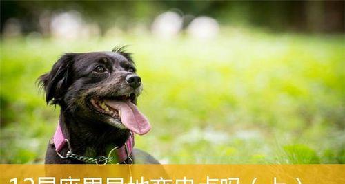 异地恋易出轨星座大揭秘（12星座中这些星座更容易出轨，你是其中之一吗？）