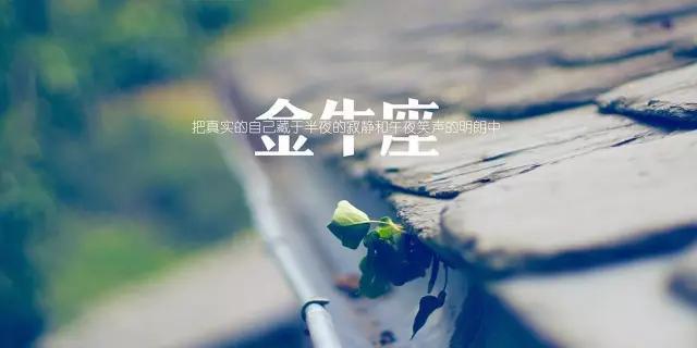 如何有效挽回与金牛座男友吵架后的关系（教你几招，重建亲密关系的方法）