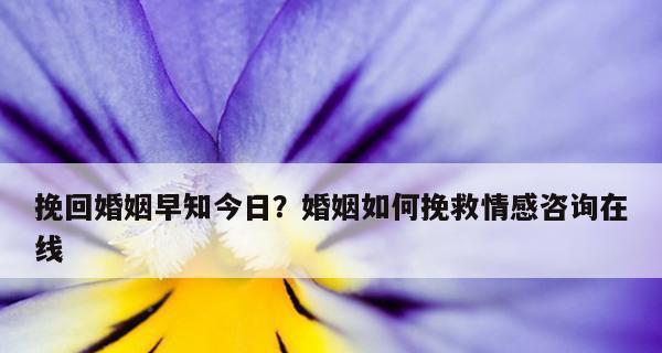 如何挽回你觉得不关心你的男朋友？（一招让你的男友重新关注你的方法，让你不再为吵架而烦恼。）
