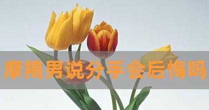 如何了解摩羯男分手和复合的要素？（摩羯男对于分手的表现和复合的要素是什么？）